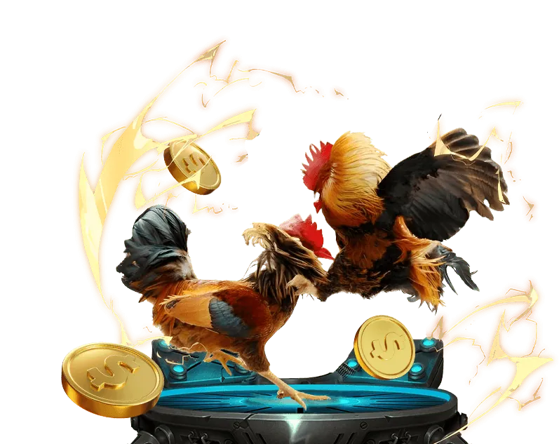 Hình ảnh minh họa các quy tắc cá cược thể thao